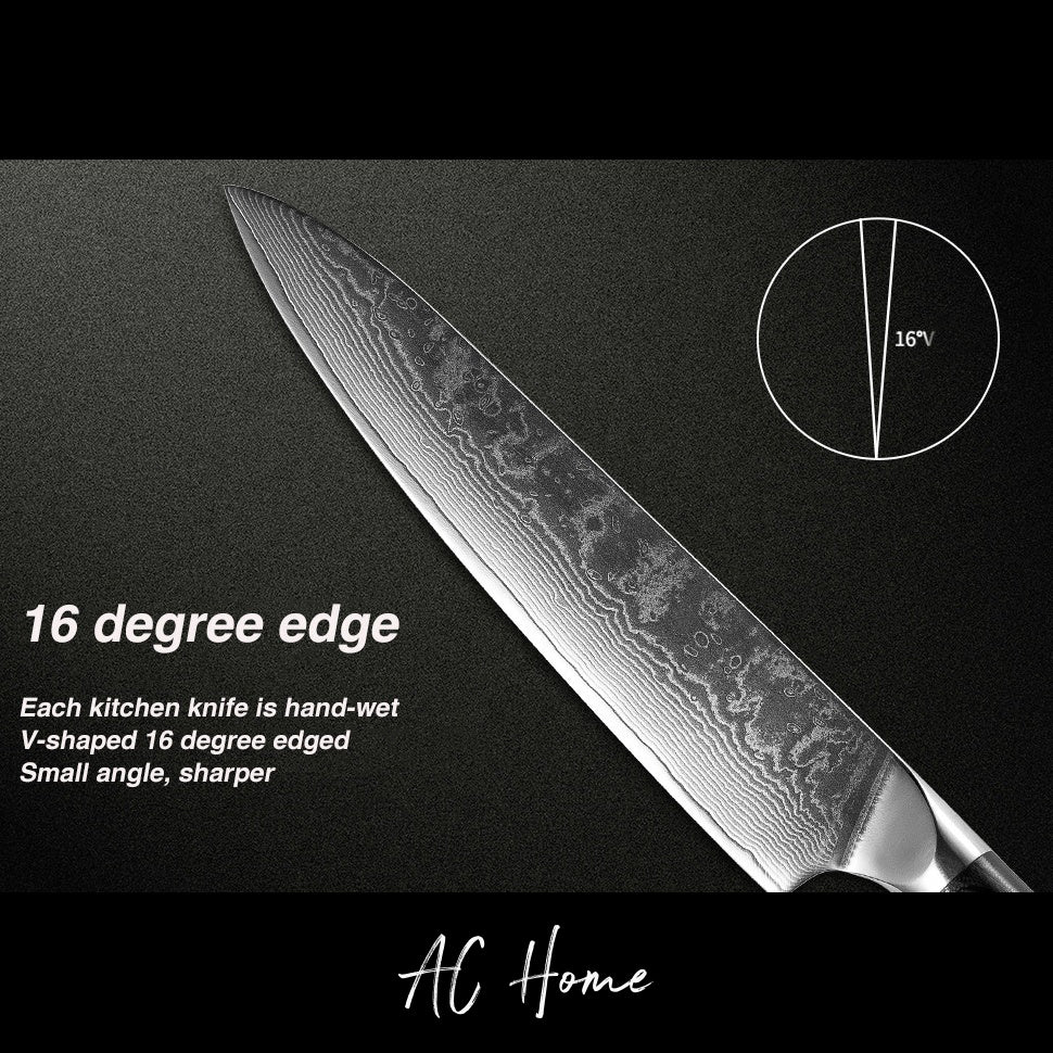 Professional Handmade Japanese Knives Santoku Chef Blanks Real 67 layer VG10 Steel Knife Set